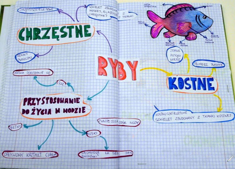 Mind mapping działa! Mind mapping działa!